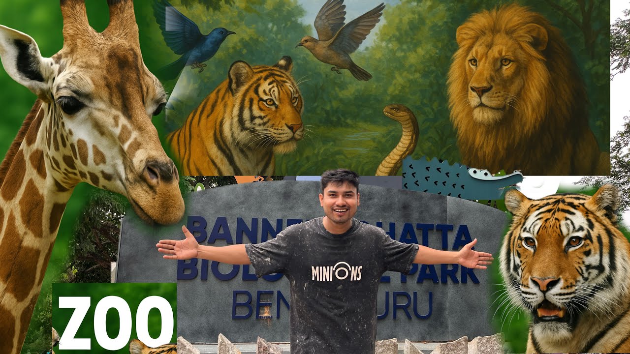 Bannerghatta Zoo🐅|Butterfly park and water Activities🛶