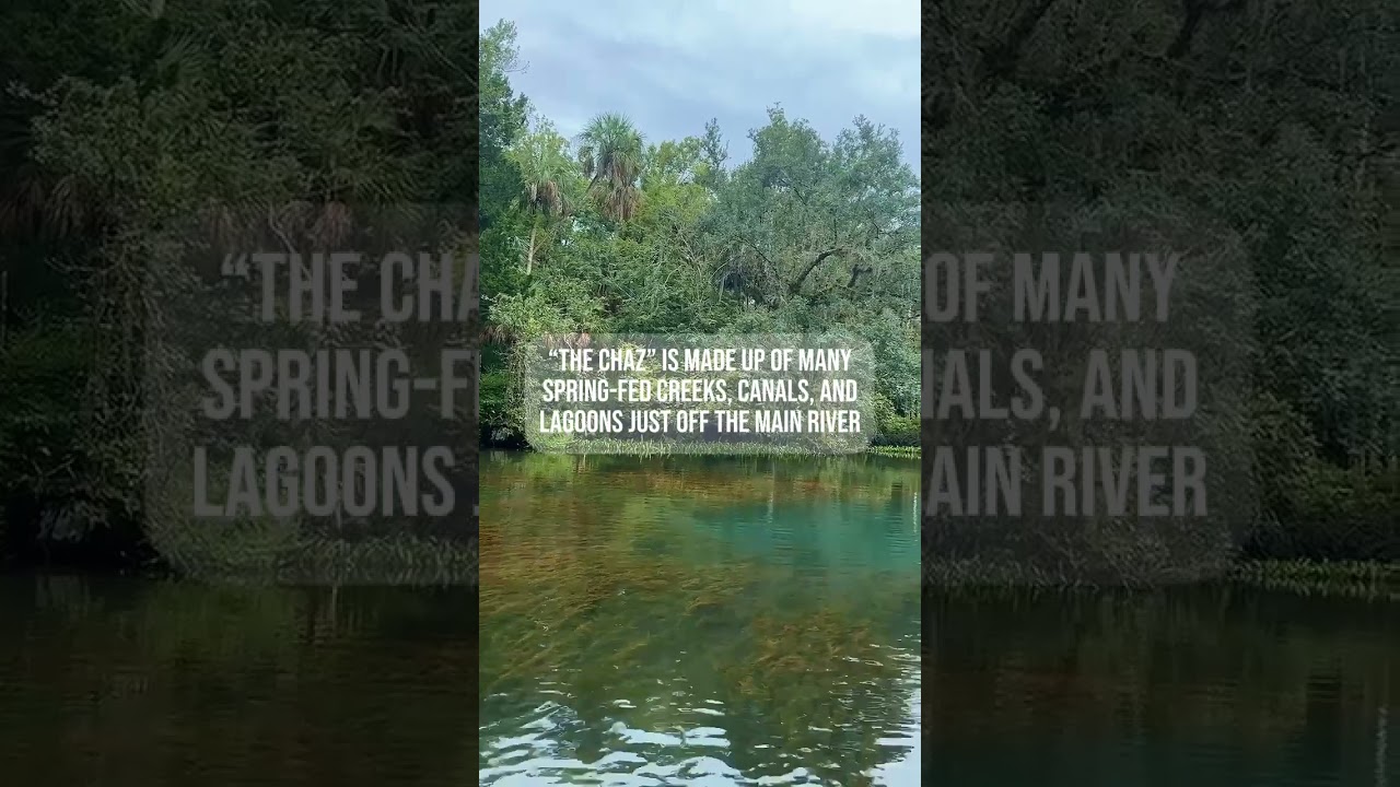 Get Up and Go Kayaking - Chaz