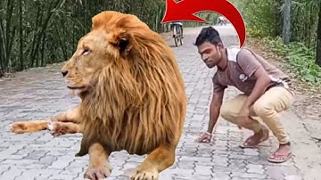 kinemaster Green screen video tutorial | Kinemaster VFX Editing Tutorial