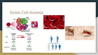 AP Bio -April 6th mutations - Google Slides