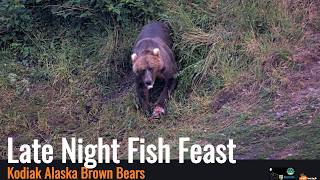 Kodiak Alaska Brown Bears - Late Night Fish Feast 07/28/26