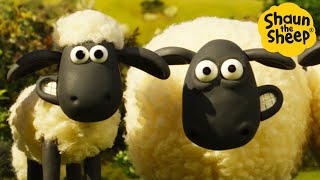 Shaun the Sheep 🐑 The Mysterious Sheep 🤔😲 Full Episodes Compilation [1 hour]