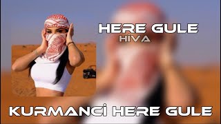 Kurmanci Here Gule - Hiva Gule (Kurdish Afro House)