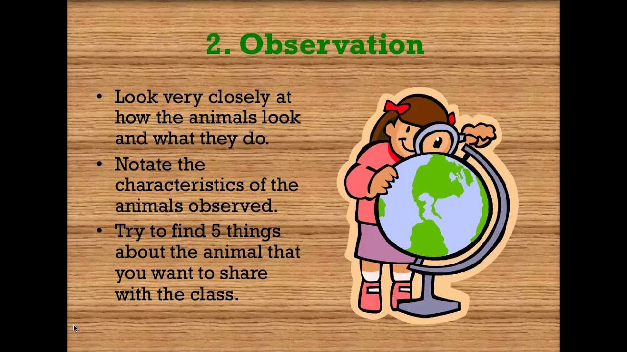 Backyard Habitat Quest YouTube