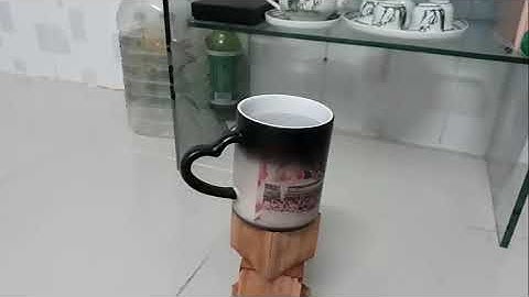 Chiếc Cốc Đổi Màu Biến Hình Kỳ Diệu