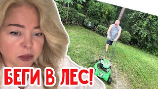 :       # #usa # 