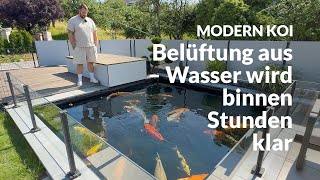 Bennys Teich Algenflusen Verschwinden Durch Strömungsstopp Modern Koi Blog