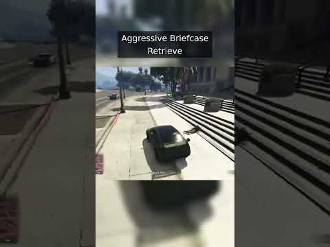Aggressive Briefcase Retrieve
