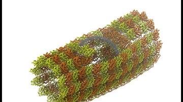 Forced indentation of microtubule lattice fragment