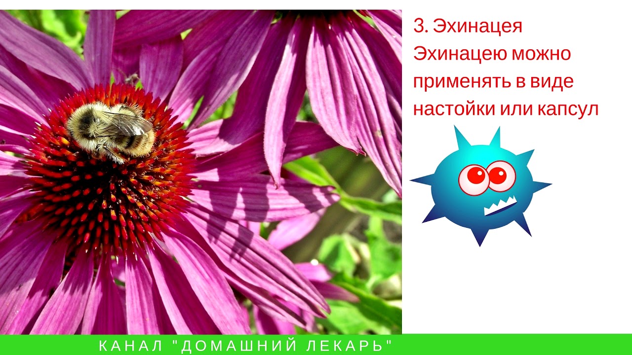 Поздравление молодым на свадьбу до слез своими словами 967