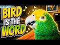 Bird Is The Word 