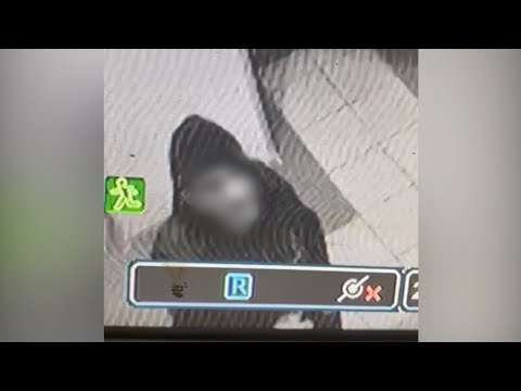 Полицейские Ростова-на-Дону задержали по горячим следам подозреваемого в краже художественных картин