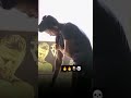 GYM workouta 🫀#reels #trending #shots #shortvideo #shorts #viralvideo #viral