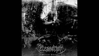 Celebratum - Soul Tormentor