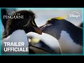 I Segreti dei Pinguini | Trailer Ufficiale | Dal 21 Aprile su Disney+
