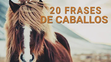 ¿Cuál es la famosa frase del caballo?