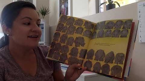 8.31 IB Trait: Open Minded