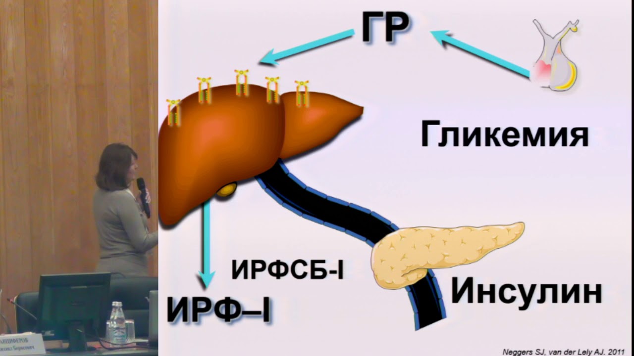Иловайская И.А., Нарушение углеводного обмена у пациентов с ...