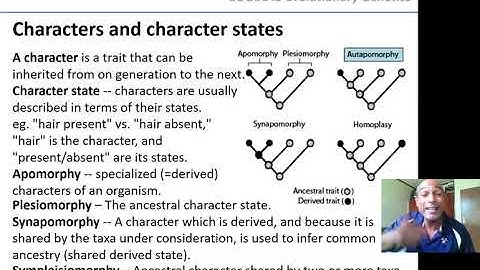 Professor Yoshan Moodley | ZOO3649 Evolutionary Genetics | Lecture 26: Phylogenetic Reconstruction I