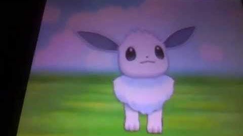 Hatched Shiny Eevee via Masuda Method in Pokemon X