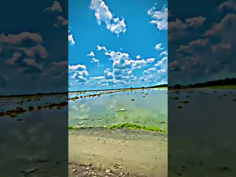 Gaaon Ko Jata Ya Rod Roz Pochta Ha Kb Aao Gy Ghumman Song Panjabi 96