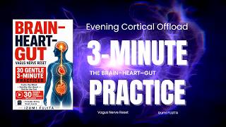 Exercise 10: 3-Minute Vagus Nerve Reset Before Sleep | Evening Cortical Offload