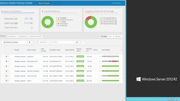 Solarwinds Backup: 20k File Restore