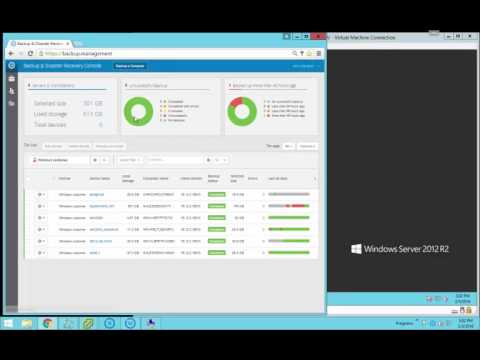 Solarwinds Backup: 20k File Restore