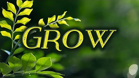 Sunday Service - Grow: Part 3 - Upward Through Transformation | New Beginnings Family Springfield OR