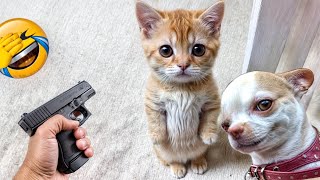 The Funniest Dogs and Cats Videos 2024 To Crack You Up All Long Day #15 by CCA Pets 885 views 2 weeks ago 34 minutes