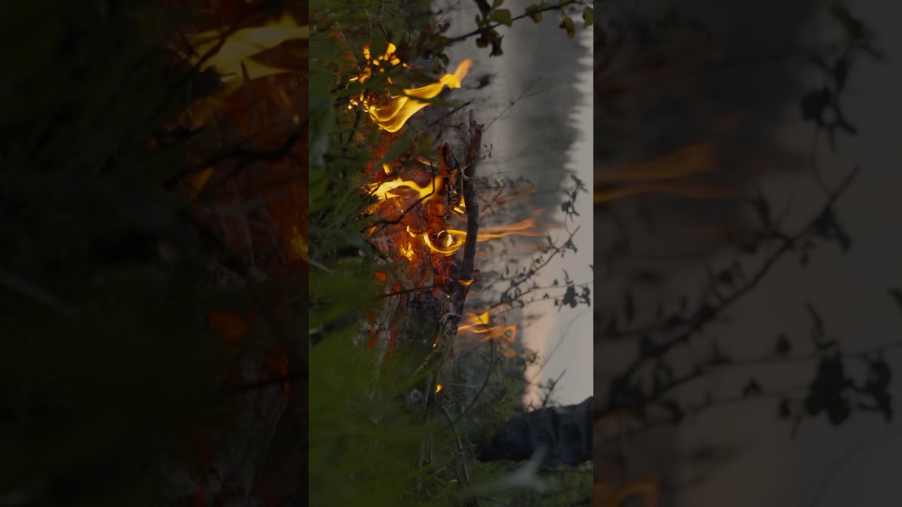 Атмосфера раннего утра 🎣 #vtundrufishing #дмитрийкореев #рыбалканакольском #рыбалка #flyfishing