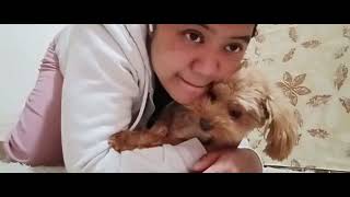 PLAYING WITH MY CUTIE DOGIE MINI❤