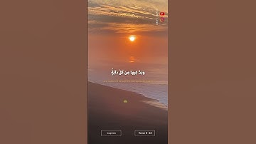(وَعْدَ ٱللَّهِ حَقًّۭا...) 💚💌#ياسر_الدوسري #سورة_لقمان‎ #القران_الكريم #اكتب_شيء_تؤجر_عليه #اكسبلور