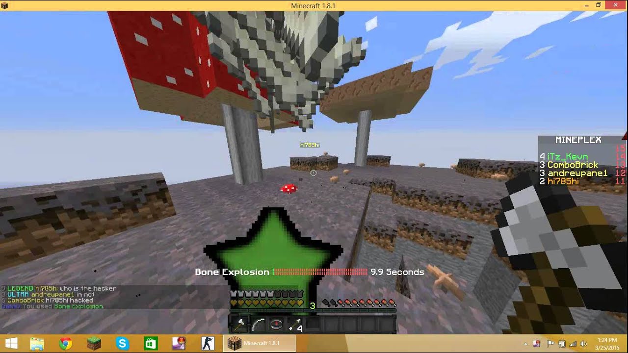 Www Mineplex Com Hacker Report