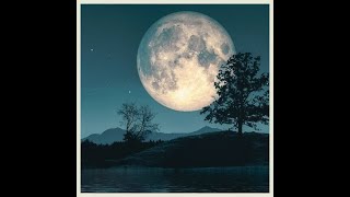 Download Lagu Dick van Altena - Een moment met jou samen MP3