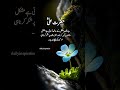 Hazrat Ali R.A ny farmaya#shortsfeed#ytshorts#trendingshorts#poetryshorts#islamicshorts#aqwalezareen