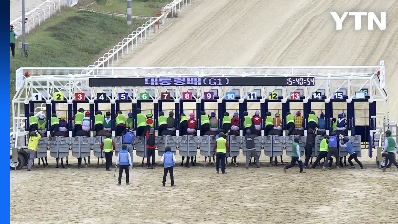 [현장영상+] '최고의 국내 말은?'...대통령배 대상경주 / YTN