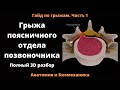 Грыжа поясничного отдела позвоночника. Полный 3D разбор.