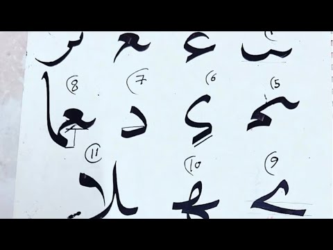 تصحيح وتفصيل وتشريح حرف العين استاذ زكي الهاشمي لطلابه بالرياض1443