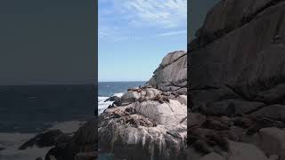 Viña del Mar #ViajarChile #ViñaDelMar #Valparaíso #LitoralChileno #TurismoNoChile #OceanoPacífico