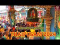 Thaipusam festival 2024 batu caves part 3 peacockmounted god   