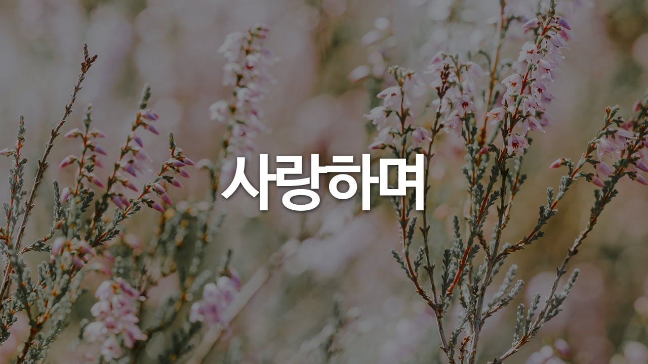 Смотреть «사랑하며 by 소울싱어즈» на YouTube Смотреть «사랑하며 by 소울싱어즈» на YouTube