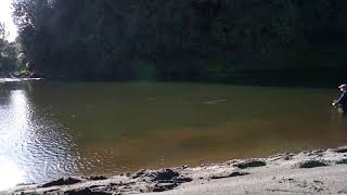 Downstream Perry Poke