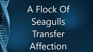 A Flock Of Seagulls - Transfer Affection - Remastered Promotional Remix