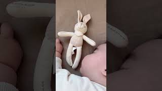 Why Organic Baby Toys Are the Best Choice 🌱🎁