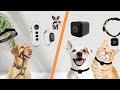Top 15 Dog Collars, Harnesses & Leashes on Amazon