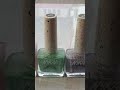 Nail polish collection #nailpolish