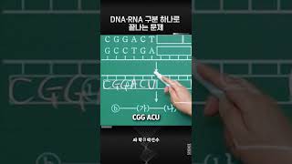 DNA · RNA 구분 하나로 끝나는 문제