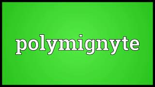 Polymignyte Meaning