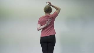 Back Scratch Test Appleys